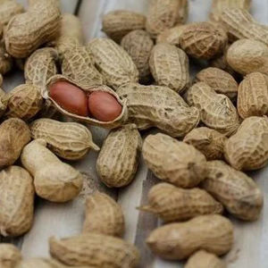 Monkey Nuts Red Skin Peanut Seeds