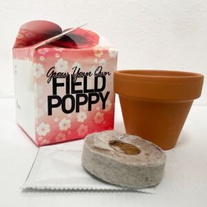 Grow Your Own Poppy Mini Box Kits Kids Birthdays Parties Corporate Events Red Poppy Poppies