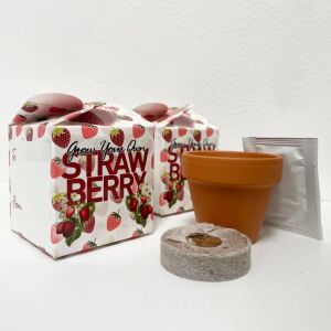 Grow Your Own Strawberries Mini Box Kits Kids Birthdays Parties Corporate Events Wedding Favours Christenings Strawberry