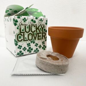 Grow Your Own Lucky Clover Mini Box Kits Kids Birthdays Parties Corporate Events Wedding Favours Christenings