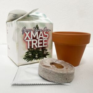 Grow Your Own Xmas Tree Mini Box Kits Kids Birthdays Parties Corporate Events Wedding Favours Christenings Christmas Tree