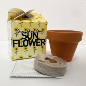 Grow Your Own Sunflower Mini Box Kits Kids Birthdays Parties Corporate Events Wedding Favours Christenings Sunflower