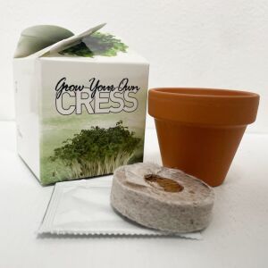 Grow Your Own Cress Mini Box Kits Kids Birthdays Parties Corporate Events Wedding Favours Christenings Cress