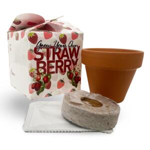 Grow Your Own Strawberries Box with Terracotta Pot, Peat Free Coir Compost & Strawberry Seeds