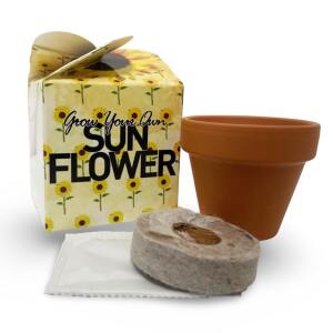 Grow Your Own Sunflower Box with Terracotta Pot, Peat Free Coir Compost & Sunflower Seeds