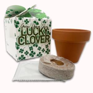 Grow Your Own Lucky Clover Box with Terracotta Pot, Peat Free Coir Compost & Clover Seeds