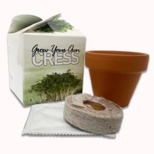 Grow Your Own Christmas Tree Box with Terracotta Pot, Peat Free Coir Compost & Xmas Tree Seeds
